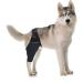 BELLIFFY Dog Foreleg Brace Puppy Knee Braces Dog Acl Brace Hind Leg Paws Pet Mesh Fabric Large Dog Elbow Pads S As Shown - Buy Online on GoSupps.com