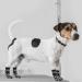 Expavlorine Non-Slip Dog Socks - Soft & Breathable Paw Protection for All Dogs - Adjustable Straps & Traction Control - Black Small (4 Count) - Ideal for Indoor Use on Wooden Floors - Buy Online on GoSupps.com