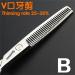 Professional 6/6.5 Inch Hair Scissors Set - Hairdressing & Thinning Shears (2 Pieces) | International Shipping - Buy Online on GoSupps.com