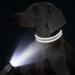 Tagme Personalized Small Dog Collar - Embroidered Reflective Nylon with Pet Name & Phone Number - Gray (1 Pack) - Buy Online on GoSupps.com