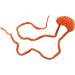 Milisten 2pcs Nasal Hair Trimmers for Men Nose Shield Cute Nose Cover Knitted Nose Warmer Kids Glasses Exempt from Wearing Nose Warmer for Women Breathable Nose Skimask Aldult Man Attractor Orangex2pcs 14*4.85cmx2pcs - Buy Online on GoSupps.com
