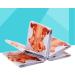 Minkissy 100pcs Nail Forms Nail Art Extension Forms Beauty Tools for Women Green Accessories Pro Nail Art Guide Nail Accessories Nail Accesories Nail Tool Extend Manicure Orange - Buy Online on GoSupps.com