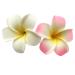 2 PCS 7cm Hawaiian Frangipani Plumeria Foam Head Flower Party Beach Hair Clip (White + Pink) White+Pink