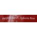 Tilda Arborio Risotto Rice 5 kg - Premium Quality Italian Rice for Delicious Risotto Dishes - Buy Online on GoSupps.com
