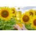KTC Pure Sunflower Oil 1L | This oil type is prepared by pressing the sunflower seeds | For all frying baking & salads | Indian Origin | Pack Of 4 - Buy Online on GoSupps.com