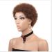 Buy BGHJUE African Wig - Short Roll Synthetic Lace Front Wigs for Black Women | Heat Resistant Soft Hair - International Shipping Available - Buy Online on GoSupps.com