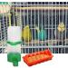and Water Feeder Set Feed Bucket Duck Feeding Dispenser Bird Watering Bottle Cage Hanging Poultry Waterer for (Medium) - Buy Online on GoSupps.com