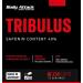 Body Attack Tribulus Extract - 150 Capsules | High-Dose 1600mg Tribulus Terrestris with B5 & Zinc | Made in Germany for Athletes - Buy Online on GoSupps.com
