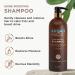 ARGAN MAGIC Hair Care Essentials Trio | Shine Boosting Shampoo Moisturizing Conditioner 10 in 1 Leave In Spray | Hydrate Detangle & Restore Shine | Made in USA - Buy Online on GoSupps.com