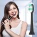 Everystep Replacement Toothbrush Heads 10 Pack for AquaSonic Electric Toothbrush - Black Series, Vibe Series, Duo Series pro - Black - Buy Online on GoSupps.com