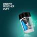 Rexona Men Maximum Protection Clean Scent Antiperspirant Deodorant with 48 Hour Protection Against Excessive Sweating and Body Odor 45ml 6 Pack - Buy Online on GoSupps.com