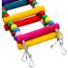 Colorful Wooden Parrot Ladder & Bridge - Climbing Toy for Birds | International Shipping Available - Buy Online on GoSupps.com