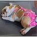 Cutebone Washable Dog Diapers 3-Pack | Waterproof Puppy Pants - Valentine's Day Rose Collection for Heat Period - L Size (51-68.5cm) - Buy Online on GoSupps.com