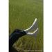 Mobile Phone Sock for Compression Stockings - Fast Linen Men CL2 T3 N Black | Shop Now! - Buy Online on GoSupps.com