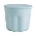 Portable Cosmetic Brush Washer Mat | Compact Makeup Cleaner Cup - Travel-Friendly (Blue - Buy Online on GoSupps.com