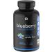 Sports Research Blueberry Concentrate 800 mg 60 Softgels