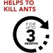 Raid Ant Killer Baits And Traps For Indoor Use Child Resistant 8 Count Baits Ant Killer - Buy Online on GoSupps.com