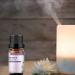 Buy GREENSLEEVES Verbena Essential Oil - 100% Pure Aromatherapy 10ml for Diffuser Massage & Humidifier | International Shipping Available - Buy Online on GoSupps.com