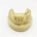 Fhuili Teeth Implant Model - Realistic Dental Simulation for Practice & Education | Lower Half Teeth Demonstration Model - Buy Online on GoSupps.com