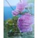 Alba Grups - Rose Tea Rosadamascena Mill with 20 tea bags 1 gr - Buy Online on GoSupps.com
