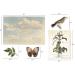 Tim Holtz Idea-Ology Bundle: Organic Layers TH94316 & Collage Layer Frames TH94318 - Spring 2023 Release - Buy Online on GoSupps.com