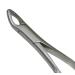 Dental Forceps 150A Upper Anteriors - SurgicalExcel 86-150A
