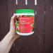 Amazing Grass Green Superfood Energy Watermelon Powder - 60 Servings - Caffeine with Matcha Green Tea & Beet Root - Plant Based Smoothie Mix - Pack of 1 - Buy Online on GoSupps.com