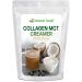 Collagen MCT Oil Creamer - Vanilla Flavor - For Coffee, Tea, Shakes & Smoothies - Perfect for Cooking or Baking Recipes - Keto & Paleo Diet Friendly Superfood Powder - Non GMO & Gluten Free - 1 lb Vanilla 1 Pound (Pack of 1)