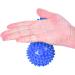 Buy Nuzamas Peanut Massage Balls - 2-Piece Set for Muscle Relaxation Yoga Trigger Point Therapy & Acupuncture - Blue Hand-Foot Massager - Buy Online on GoSupps.com
