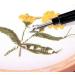WEISHA Thread Remover 1/6PCS Stitch Unpickers Set - Seam & Embroidery Removal Tool for Sewing & Crafting - Buy Online on GoSupps.com
