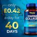 Mayfair Nutrition Marine Collagen Capsules 1470mg Complex - High Strength with Hyaluronic Acid, Biotin, Turmeric, Vitamin C, E, B2, D3 & Minerals - Women's Hydrolyzed Supplements - Made in UK - Buy Online on GoSupps.com