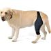 ORFOFE Puppy Knee Leg Supplies Dog Leg Braces for Hindleg Dog Leg Cover Knee for Dogs Dog Knee Cover Dog Injured Knee Dog Foreleg Brace Dog Leg Knee S As Shown - Buy Online on GoSupps.com