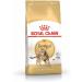 Royal Canin Bengal Adult Dry Cat Food 4 x 400g - Buy Online on GoSupps.com