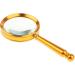 Magnification 10X Round Lens Handheld Magnifier Glass 75mm Bug Viewer Good Times - Buy Online on GoSupps.com