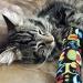 Kitty Kick Stix 11 - Set of 2 Catnip Kicker Toys, Made in USA - Buy Online on GoSupps.com
