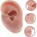 Silicone Human Ear Model for Massage, Piercing, and Simulation | Ear Display Body Kit | Healeved 6.5x3.5cm - Buy Online on GoSupps.com