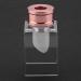 Homemade DIY Silicone Lip Balm Crafts Tool Kit Lipstick Professional Homemade Eco-Friendly Washable Lipstick Molds Beauty Enthusiasts (Star style + single hole stand + rose Star style + single hole stand + rose gold ring - Buy Online on GoSupps.com