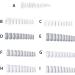 CLSSLVVBN 1 Set False Nail Elegant Full Coverage Shape Manicure Stickers Strong Adhesion Unique Design Half Paste Natural Paster White French Style - Buy Online on GoSupps.com
