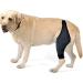 Hohopeti Paw Knee Pads Knee Dog Leg Cover Dog Acl Puppy Leg Dog Supplies Care Strap L 1 - Buy Online on GoSupps.com