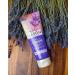 Jason Natural Calming Lavender Hand & Body Lotion - 8 oz Moisturizer - Buy Online on GoSupps.com