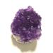 Natural Crystal Rough Natural Stone Natural Raw Amethyst Cluster Quartz Stone Purple Crystal Cluster Stones Specimen Home Decoration Crafts Decor Ornament (Color : Amethyst Cluster Size : 40-50g) 40-50g Amethyst Cluster
