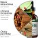 Nutramedix Nutra BRL - Liquid Herbal Supplement for Gut Health & Immune Support - Samento & Banderol for Digestive Health - Immune System Booster Supplement (60mL) 2 Fl Oz (Pack of 1) - Buy Online on GoSupps.com