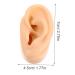 Beavorty Silicone Ear Mold Supplies for Body Acupuncture & Jewelry - Perfect for Pranks & Toy Making - Buy Online on GoSupps.com