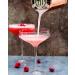 Drink Botanicals Ireland Raspberry Syrup | Made from Raspberry Juice & Pulp| Natural Fruit Content | Flavored Syrup for Beverages | 30 Servings 500ML Glass Bottle - Buy Online on GoSupps.com