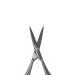 Revlon Curved Blade Cuticle Scissors - High Precision Stainless Steel Trimmer for Nail Care (Pack of 1) - Buy Online on GoSupps.com