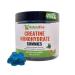 Creatine Monohydrate Gummies 5000mg | Muscle Growth Strength & Recovery Vegan Sugar-Free Blueberry Flavor 120 Count | Sports Nutrition for Men & Women | Non-GMO Gluten-Free GMP Certified