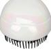 Buy 2-Piece Egg-Shaped Sweet Scalp Brush Set | Portable Shampoo Comb for All Hair Types - Wet/Dry Massage - Buy Online on GoSupps.com