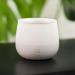 Aroma Labs Diffuser Rosae - Premium Aroma Humidifier for Home & Office - International Shipping Available - Buy Online on GoSupps.com
