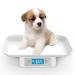 Mindpet-Med Digital pet scale for small animals accuracy1g measurement range 15kg/33ib unit g/lb/oz/tl/ml suitable for kitten puppies (gray)