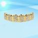 Gold-Plated Diamond Grill Teeth for Men & Women | Punk Toothbrushes - Upper & Underside Face Accessories - Buy Online on GoSupps.com